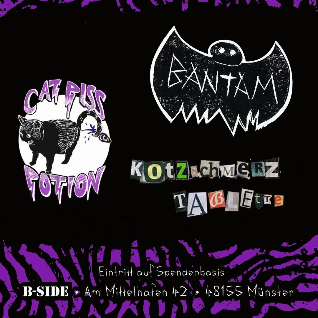 Plakat zum Konzert am 11.10.2025 in der B-Side Münster mit Catpisspotion, Bantam und Kotzschmerztablette. Eintritt frei.